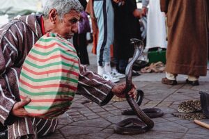 snake charmer in MARRAKECH